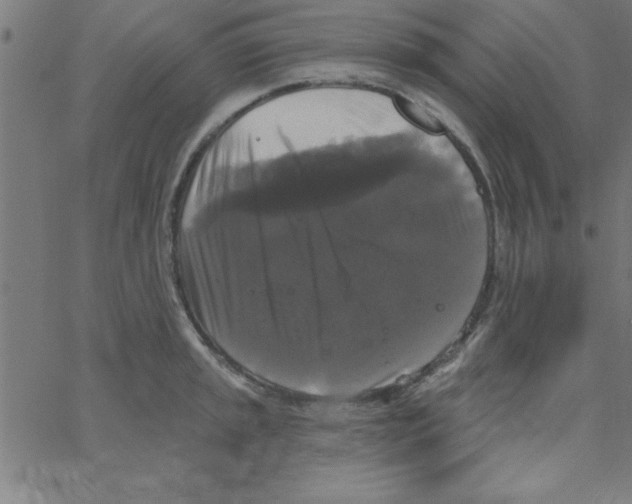 X0000067391045200604281837