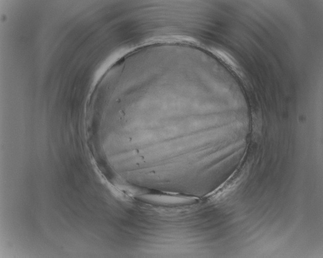 X0000067391046200604281837