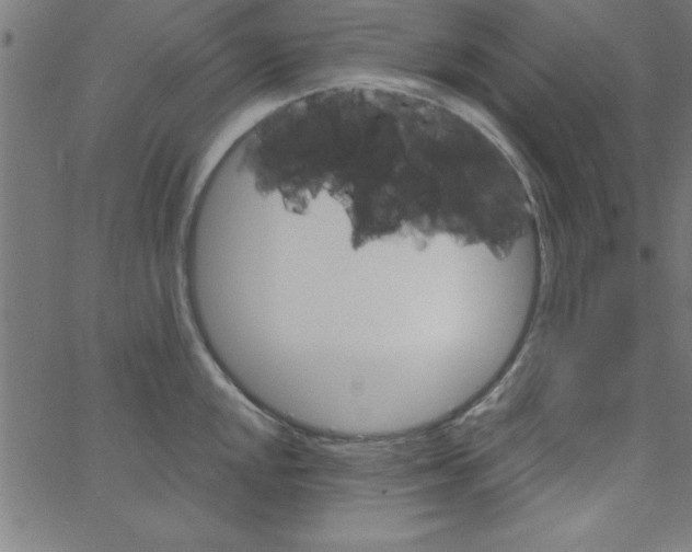 X0000067391048200604281837