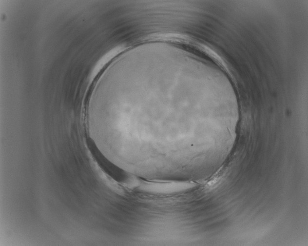 X0000067391050200604281837