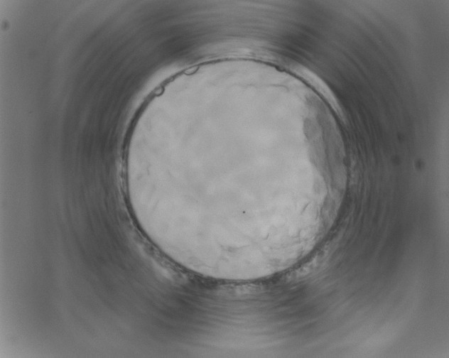 X0000067391051200604281837