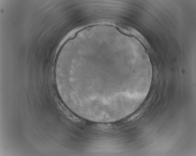 X0000067391052200604281837