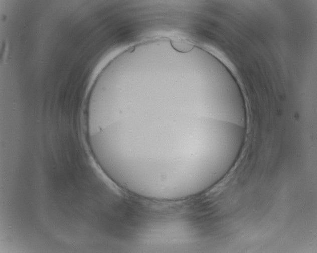 X0000067391056200604281837