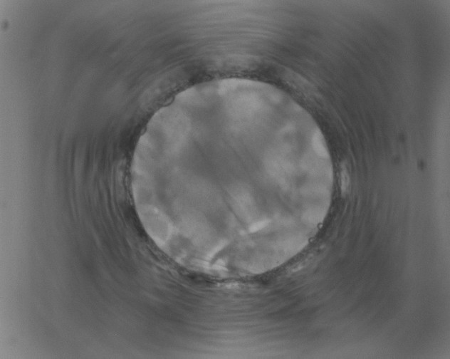 X0000067391059200604281836