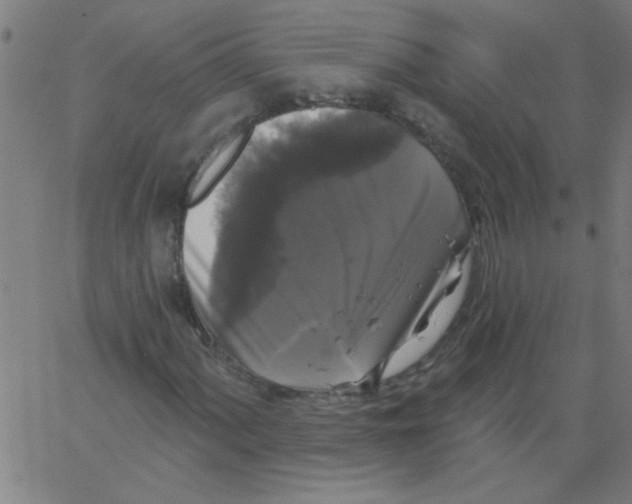 X0000067391060200604281836