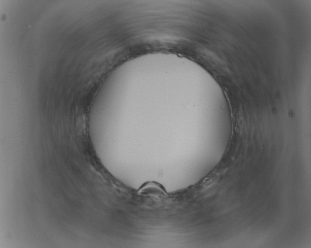 X0000067391061200604281836