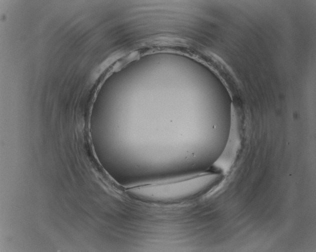 X0000067391065200604281836