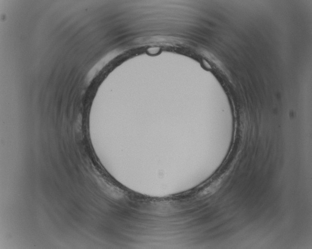 X0000067391066200604281836