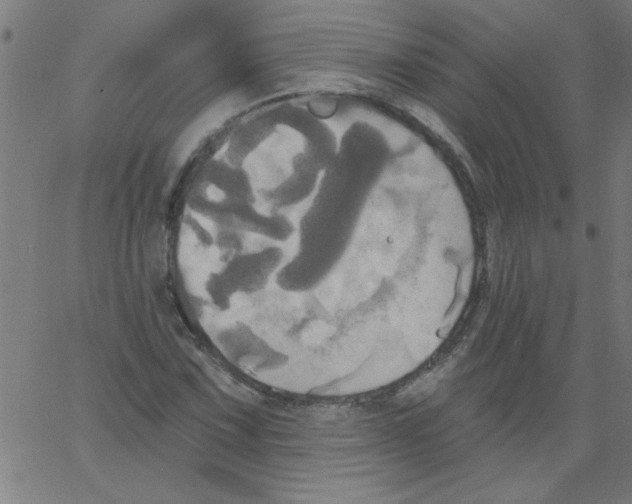 X0000067391067200604281836