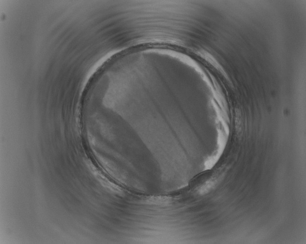 X0000067391068200604281836