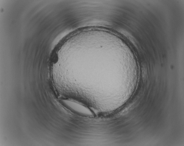 X0000067391069200604281836