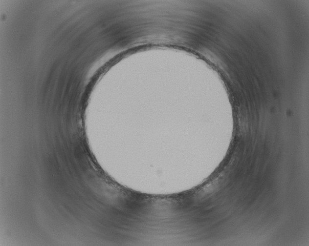 X0000067391070200604281836