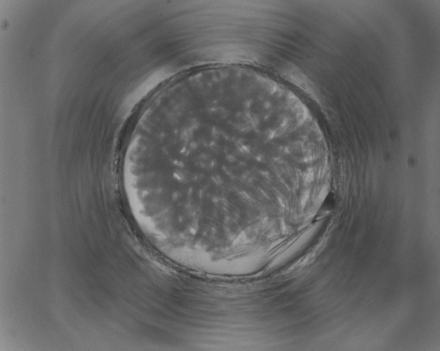 X0000067391071200604281836