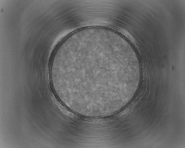 X0000067391072200604281836