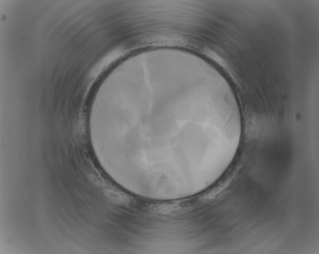 X0000067391074200604281836