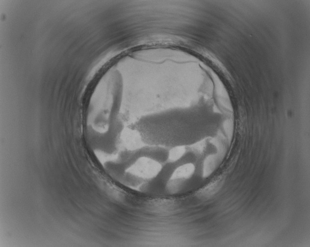 X0000067391075200604281836