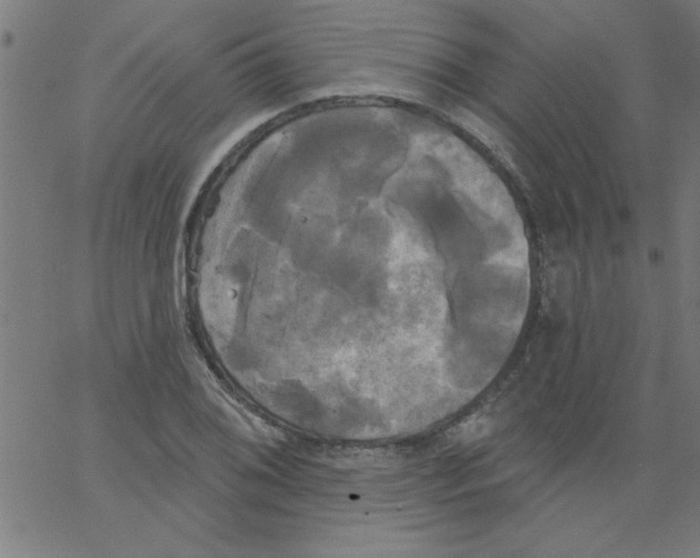 X0000067391076200604281836