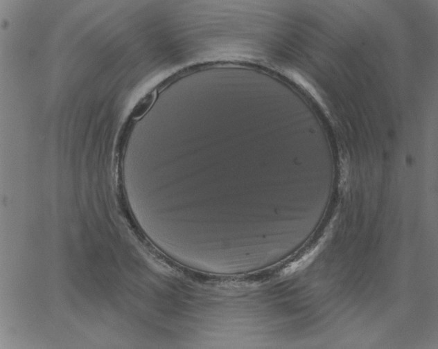 X0000067391077200604281836