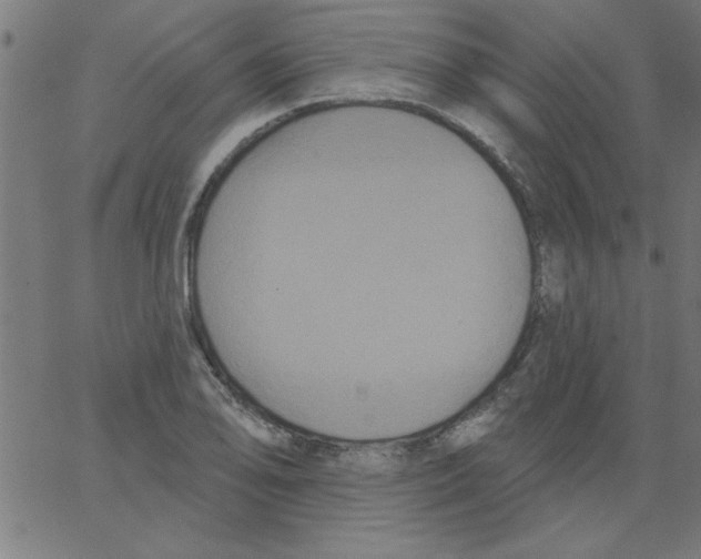 X0000067391078200604281836