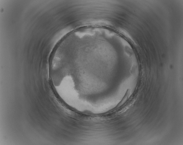 X0000067391079200604281836