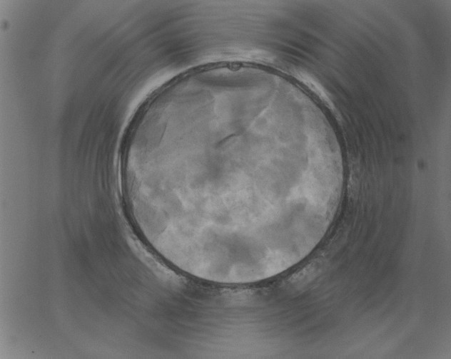 X0000067391080200604281836