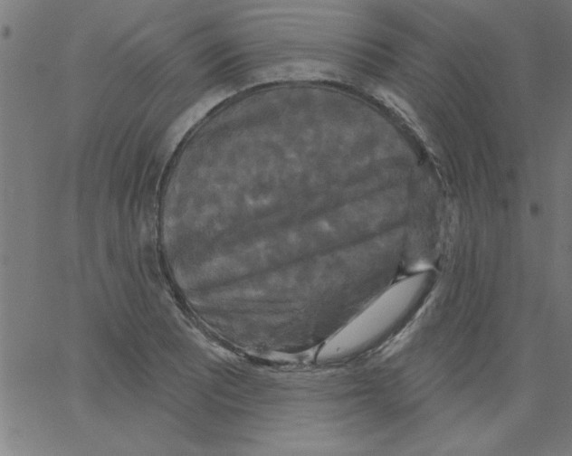 X0000067391081200604281836