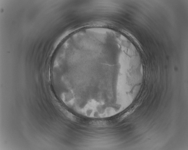 X0000067391083200604281836