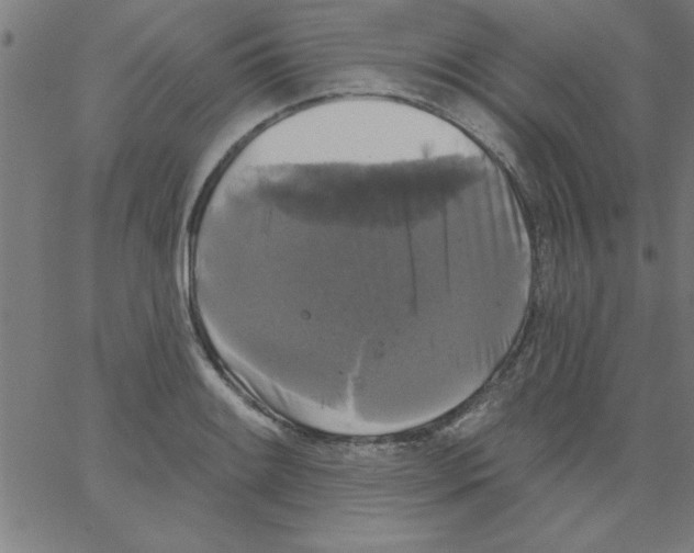 X0000067391084200604281836