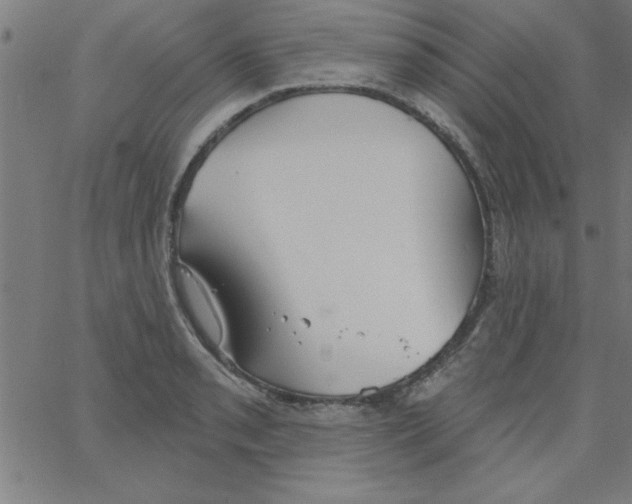 X0000067391085200604281836