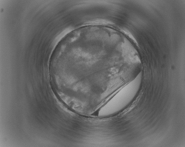 X0000067391087200604281836