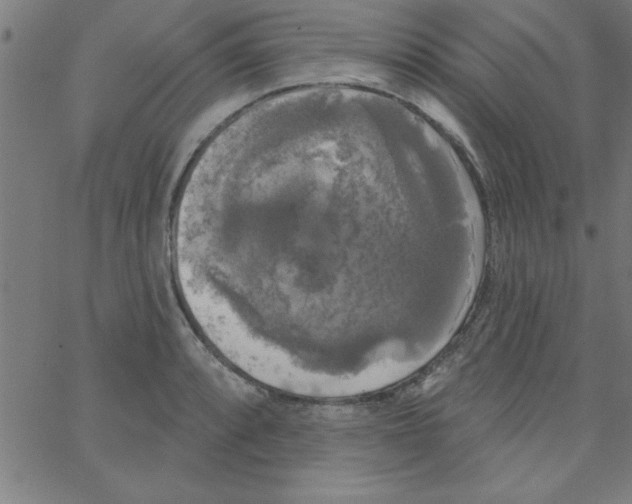 X0000067391088200604281836