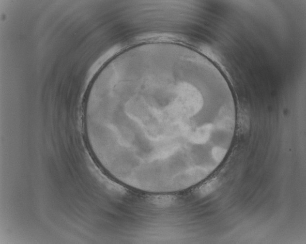 X0000067391090200604281836