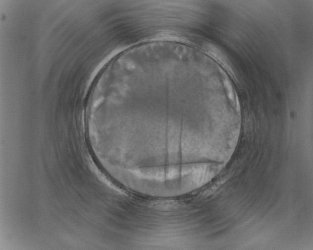 X0000067391092200604281836