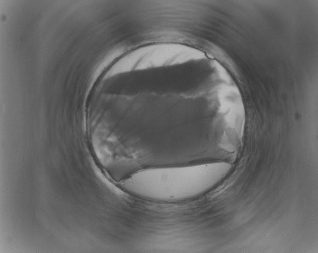 X0000067391095200604281836