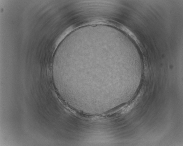 X0000067391097200604281836