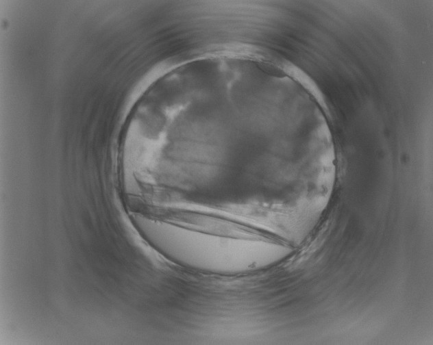 X0000067391099200604281836