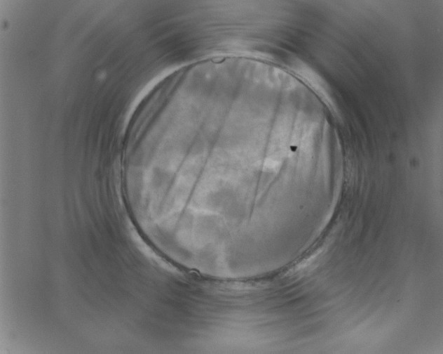 X0000067391100200604281836