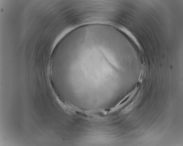 X0000067391101200604281836