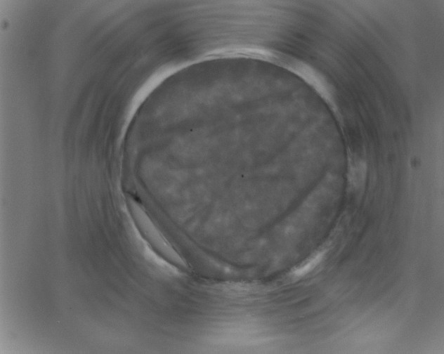 X0000067391102200604281836