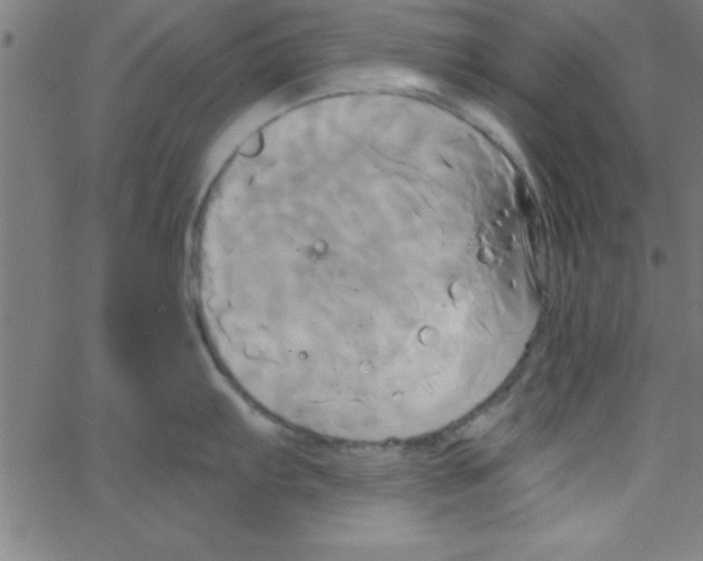 X0000067391103200604281836