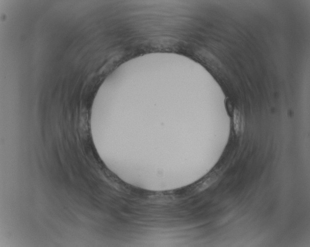 X0000067391107200604281835