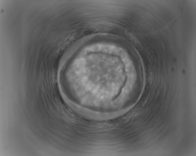 X0000067391108200604281835