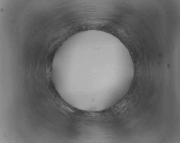 X0000067391109200604281835