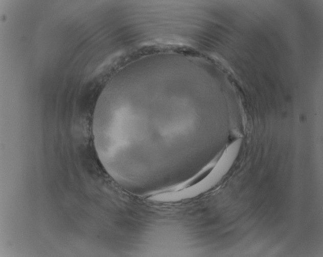 X0000067391110200604281835