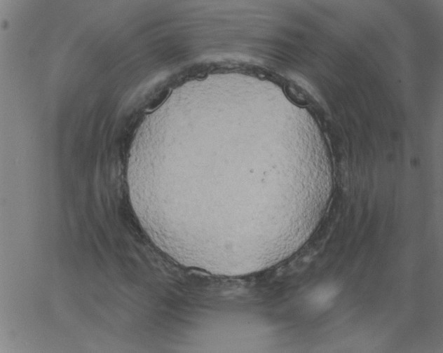 X0000067391111200604281835