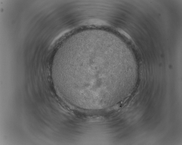 X0000067391112200604281835