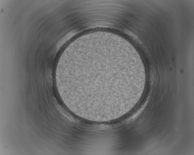 X0000067391113200604281835