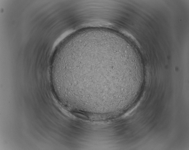 X0000067391114200604281835