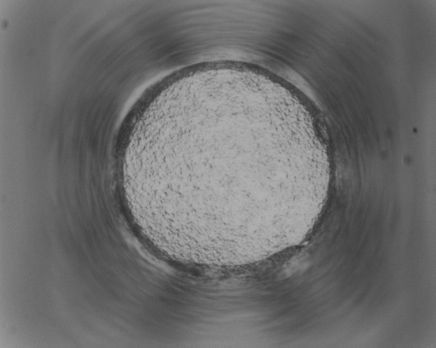 X0000067391116200604281835