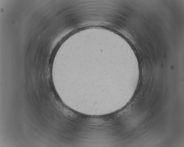 X0000067391119200604281835